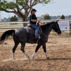 Meet your Posher, Shelly